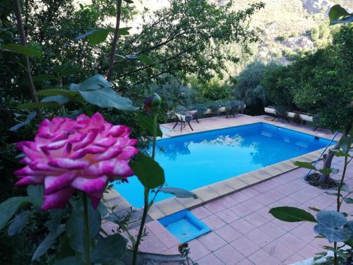 Agroturismo Cortijo Las Tres Rosas