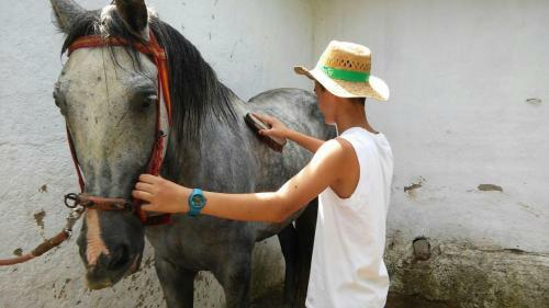 Agroturismo Cortijo Las Tres Rosas