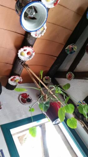 Hostal La Ninfa