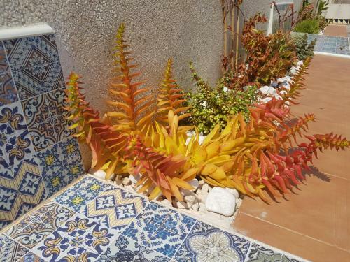 Apartamento El Lagarto