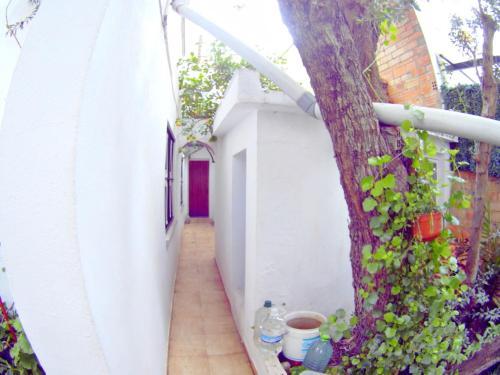 Apartamento Terracita Francisca