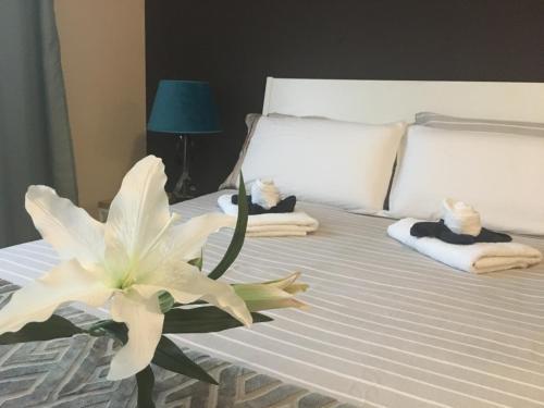 Apartamento Dream Comfy