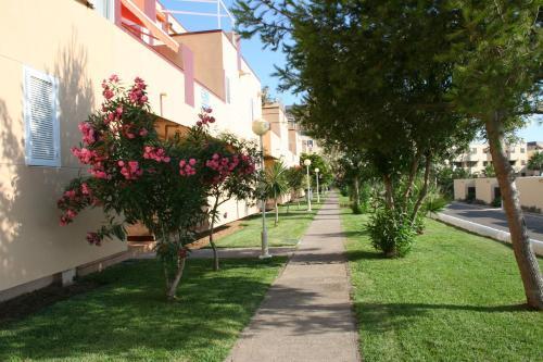 Apartamento Alisios 312
