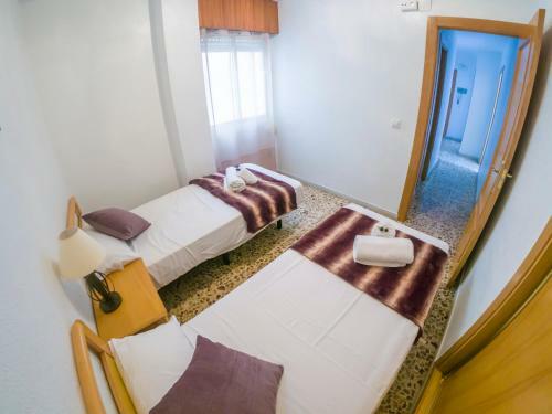 Homely Apartaments La Mata Centro