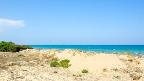 Torrelamata Apartment Sleeps 4 Pool Air Con Wifi