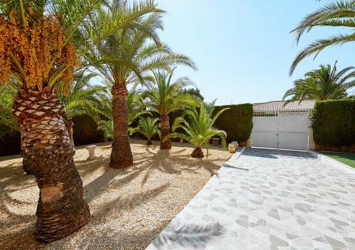 Villa Palma