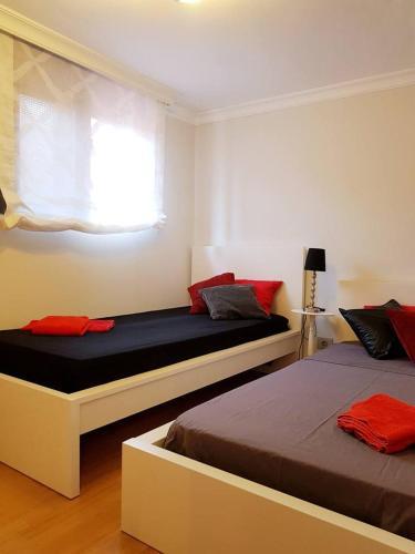 Apartamento Behosty Palm Garden