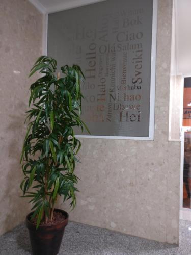 Canteras Snorkel Hotspot Apartment