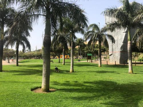 Vivienda 3d, Terraza-jard�n