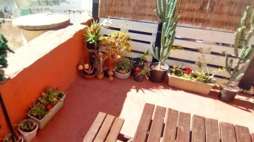 Hostal Matt Hostel Terrace