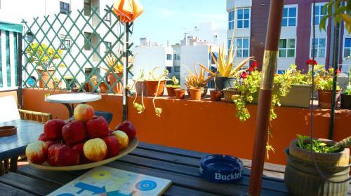 Hostal Matt Hostel Terrace