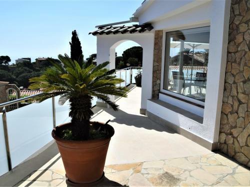 Villa Luz