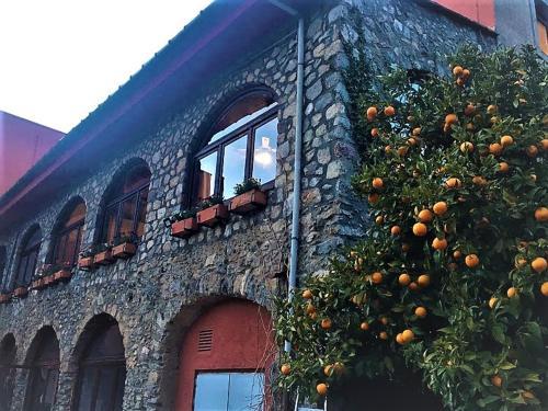 Hotel La Fonda Dels Pirineus