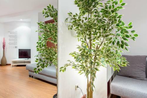 Apartamento Book In Madrid- Puerta Del Sol