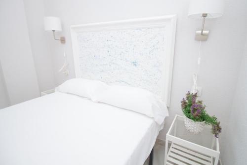 Lovely Apartment Carreteria