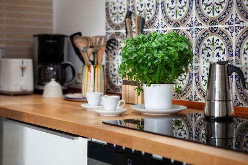 Apartamento Roomalaga Parras