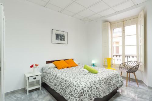 Apartamento Larios Centro Historico Parking Gratis