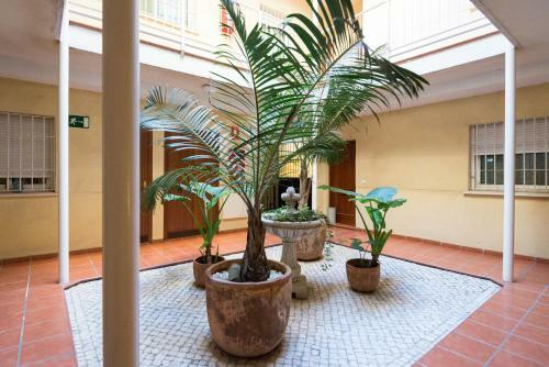 Dos Aceras 1 Bedroom Apartment