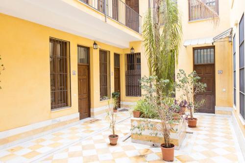 Apartamento Suncity Loft Pozos Dulces