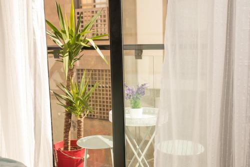 Apartamento Rustic Chic Studio Downtown