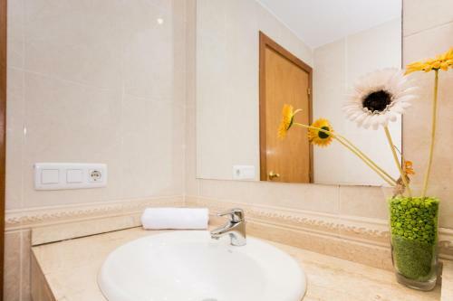 Homeholidaysrentals Coral