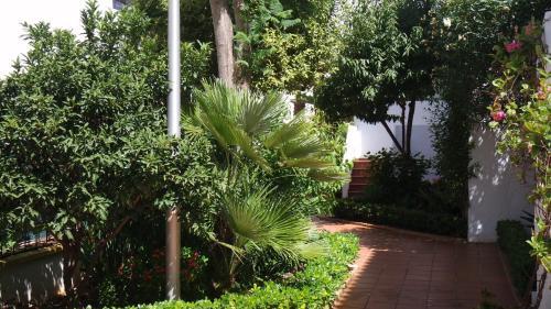 Apartamento Puerto Banus La Maestarnza
