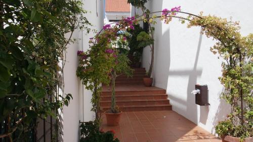 Apartamento Puerto Banus La Maestarnza