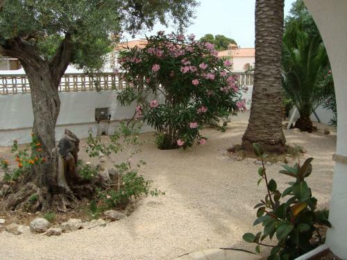 Villa Lluisa