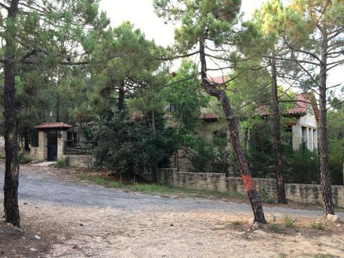 Agroturismo La Flor De La Vida - Adults Only