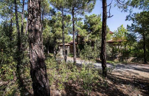 Agroturismo La Flor De La Vida - Adults Only