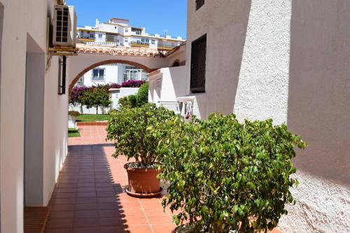 Apartamento Edf. Gaviota 4� 5