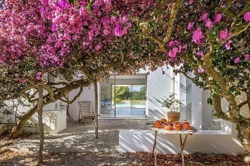 Playa De Talamanca Villa Sleeps 4 Pool Air Con Wifi