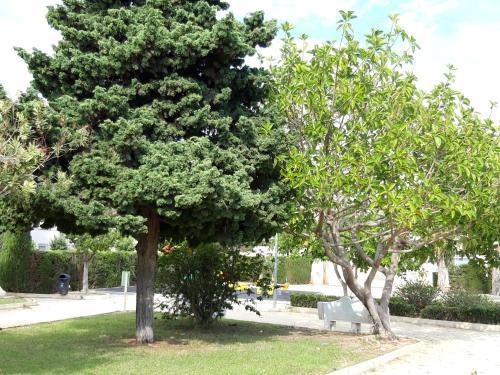Apartamento Calle Isla Menorca S