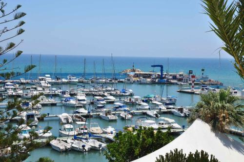 Apartamento Silene