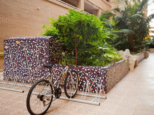 Apartment Jardines Del Mar I