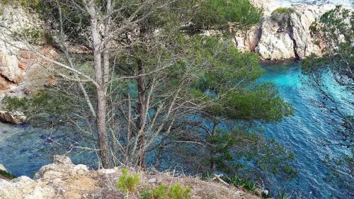Apartamentos Royal S�alguer