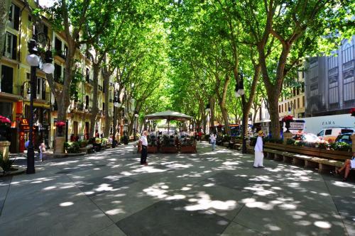 Apartamento Mandarin 2