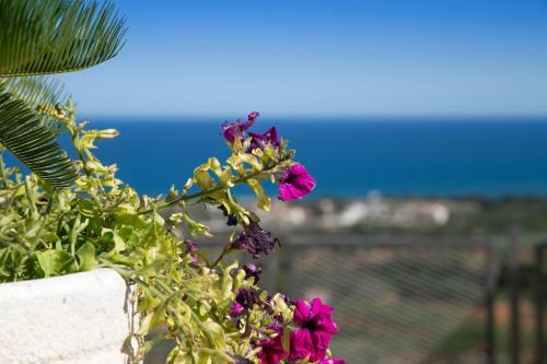 Apartamento D�plex Con Vistas Al Mar En Pe��scola