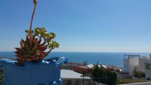 Apartamento Carabela Sun Holidays 3