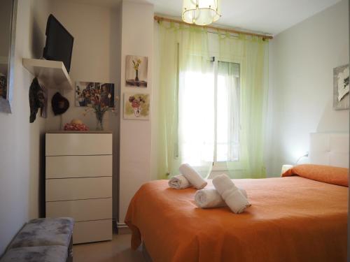 Apartamento Ref. 238. Acogedor Y Moderno Piso En Pineda De Mar