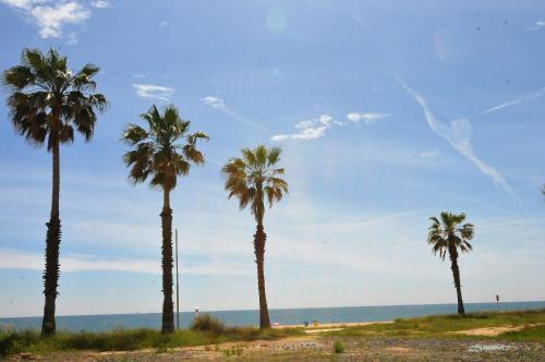 Apartamento Homeholidaysrentals Tarongers