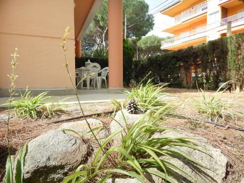Apartamento Platja D'aro Planta Baixa