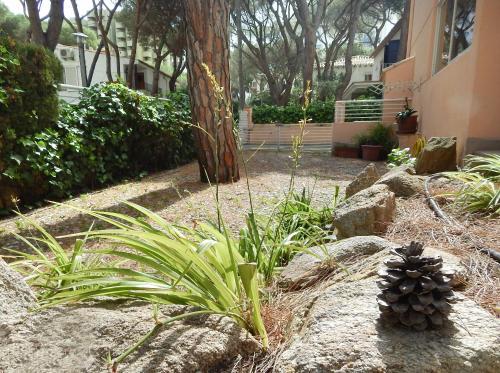 Apartamento Platja D'aro Planta Baixa