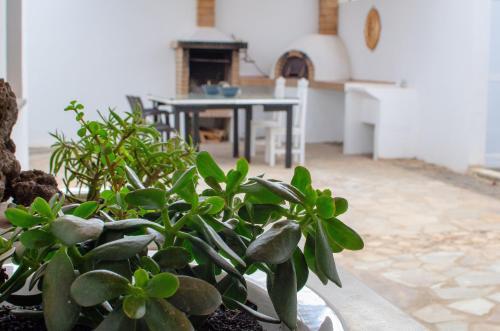 Apartamento Lizard Complex