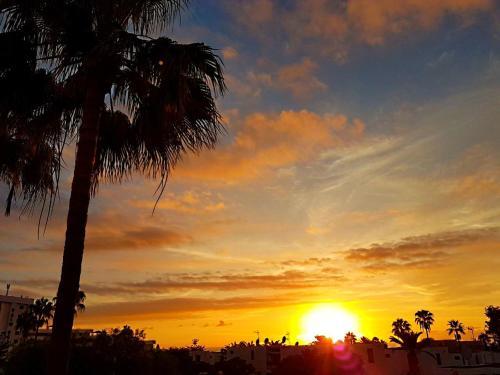 Apartment Near The Beach In Las Americas
