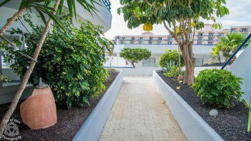 Cozy Apartment In Playa Paraiso Pp/21