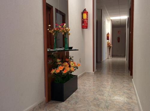 Hostal Pensi�n Egea II