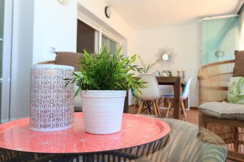 Apartamento La Zenaida