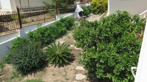Villa Canarias 9