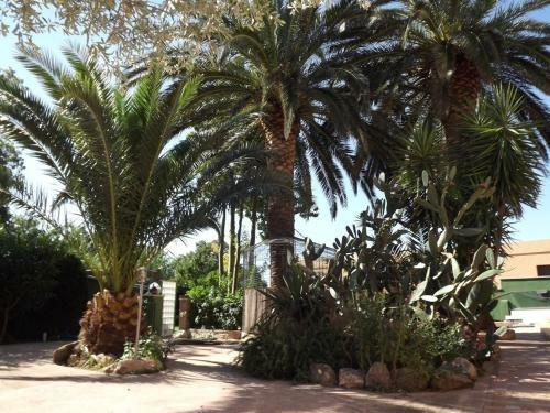 Villa Palm Beach